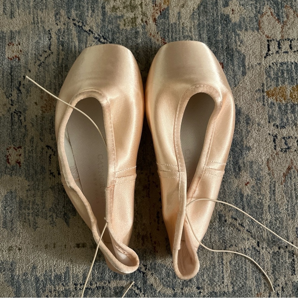 Gaynor Minden Pointe Shoes